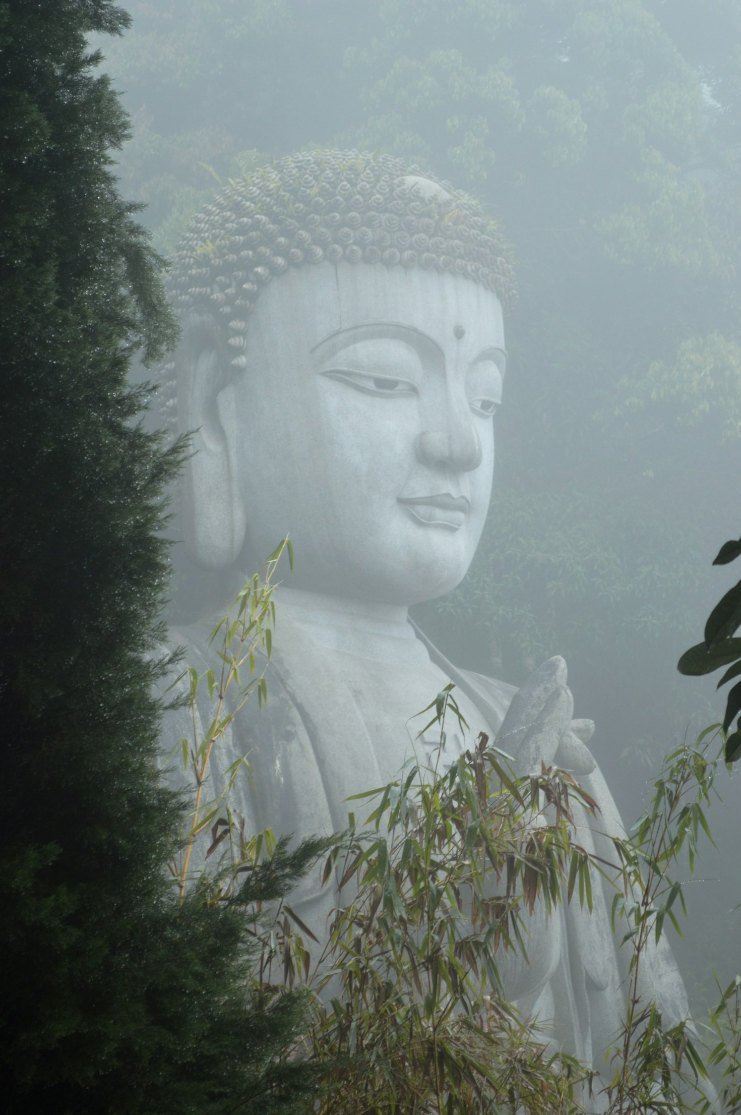 10 Signs You’re Experiencing a Spiritual Awakening